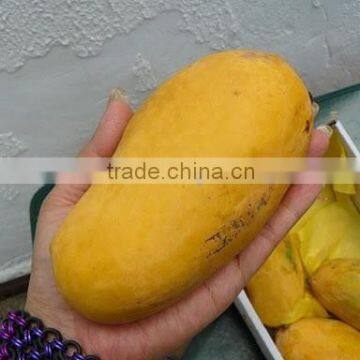 Fresh Mango photo-3