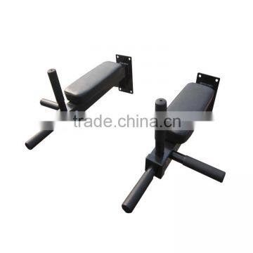 wall mounted gym wall bars