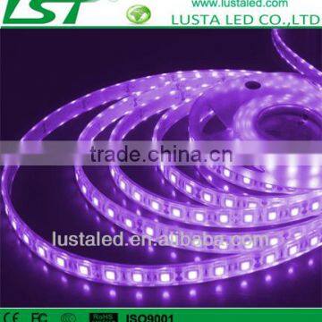 SMD 5050 LED Strip Light, High Quality 5050SMD, CE Rohs Approved