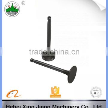 Intake and exhaust valve &quick exhaust valve for S1105 diesel engine