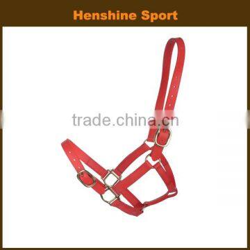 colorful leather horse halter