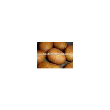 Fresh Russet Burbank Potato