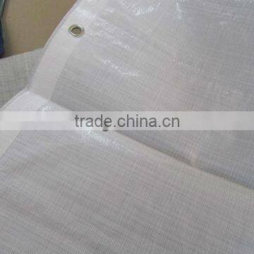 cheap transparent pp tarpaulin for greenhouse