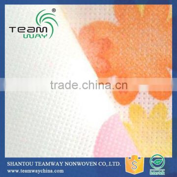 Printing 100% Polyester Spunbond Nonwoven Fabric