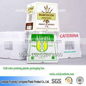Weatherproof plastic packaging carton fruit and vegetable box fruit and vegetable box