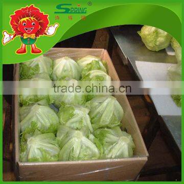 round luttuce iceberg luttuce