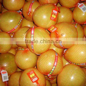 Chinese Fresh honey pomelo low price