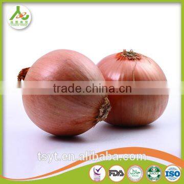 Fresh Red Onion Yellow Onions photo-2