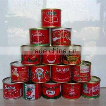 specification fresh tomato, bulk tomato paste price of tomato paste in drum