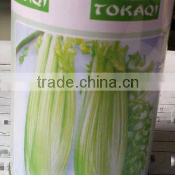 Early Maturity Cold Resistant High Yield Celery Seeds Empress Cerely photo-3