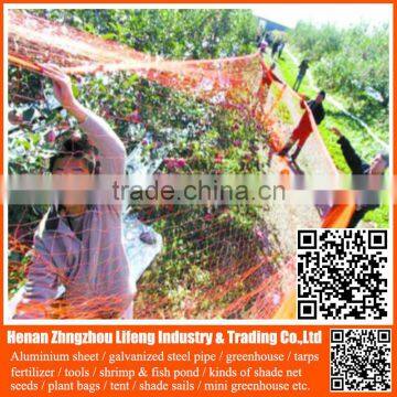 hot selling orchard HDPE knotted mesh bird netting / pe anti bird net / platic bird protection net on grapes