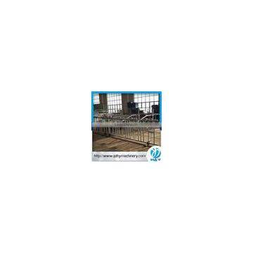 Hot Galvanized Cattle Headlock