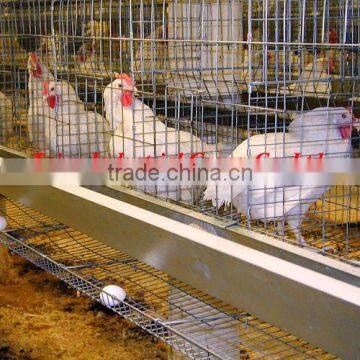 poultry layer cage system