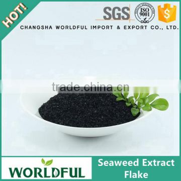 China Supplier High Concentrated Black Seaweed Extract Flake For Fertilizer Seaweed Extract