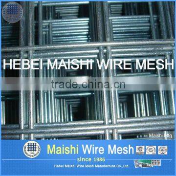 welded wire mesh (iso9001 factory price)