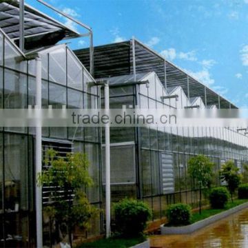 Commercial Flower Vegetable Polycarbonate Greenhouse