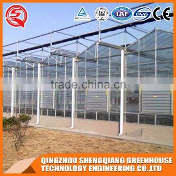 Agriculture Greenhouse in Glass Greenhouse With Grow Light for Sale photo-3