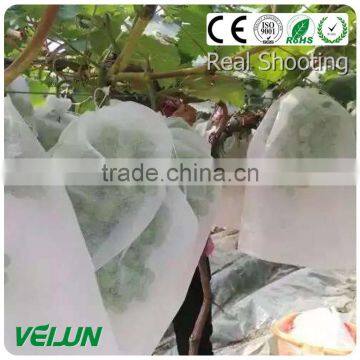 Spunbond Nonwoven Fabric photo-3