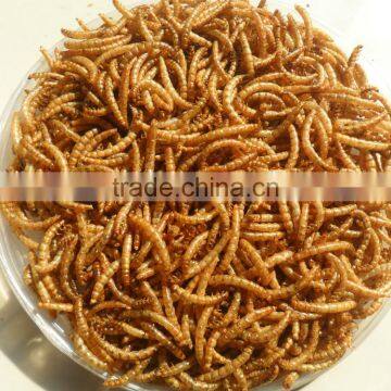 Shan County Animal Feed Dried Mealworms