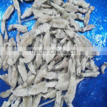 High Quality IQF Baby Squid photo-6