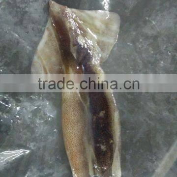 Zhengyuan Frozen Illex Squid Tube photo-5