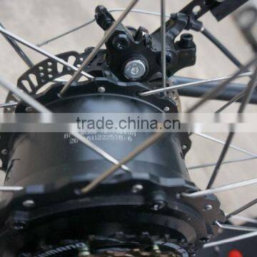 48v 750w Strong Powered Brushless Hub Motor Electric Bicycle Fat Tire Electric Bike photo-4