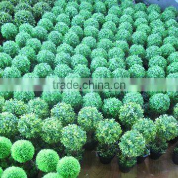 Artificial boxwood topiary tree