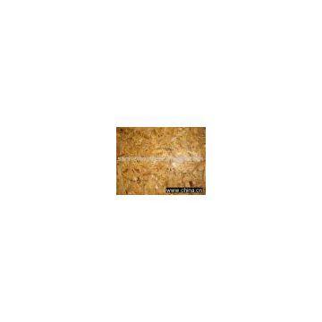 oriented stranded board