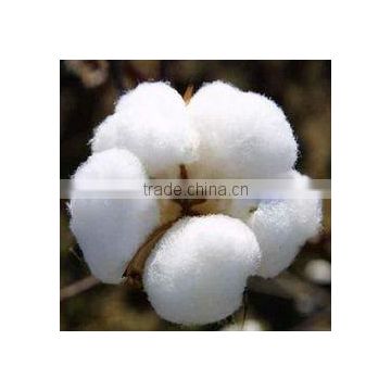 Certified BCI cotton