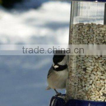 SAFFLOWER SEED