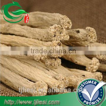 supply codonopsis root not extract