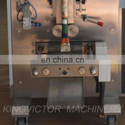 Ginger Garlic Paste Liquid Pouch Bag Packing Machine Factory Price photo-4