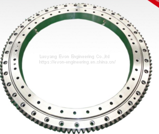 SEseries Single Axis Slewing Drive photo-2