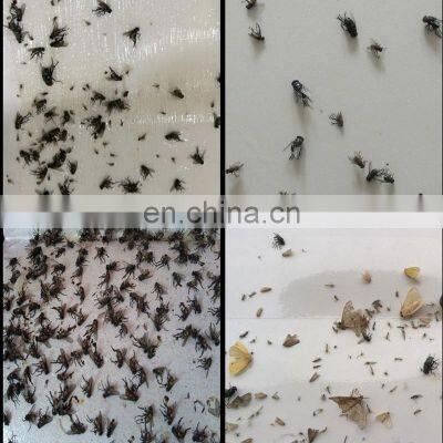 Mosquito Traps, Indoor Insect Trap, Flying Bugs Trap Fruit Fly Mosquito Killer With 10 Sticky Glue Boards Mosquito Eradicator