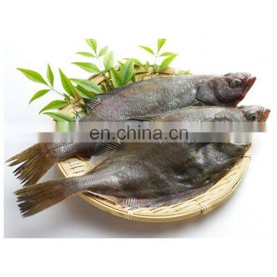 Big size IQF pointhead flounder fish with good price