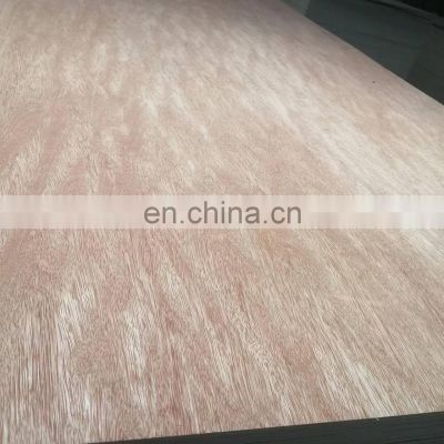 Bintangor/okoume plywood for furniture plywood price list Commercial plywood Poplar finger jointed board