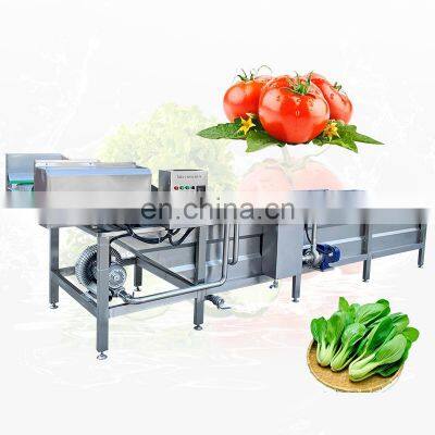 Industrial Commercial Restaurant Bubble Clean Orange Washer Line Equipment Fruit And Vegetable Wash Machine