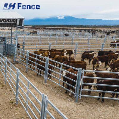 Easy-Install Cattle Panel: Pre-Assembled Design Enables Quick Setup With Standard Posts for Immediate Use