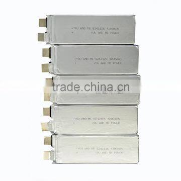 Lithium Polymer Battery 3.7v 4200mah for Solar Storage System photo-3