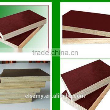 Plywood/ film faced plywood/commercial plywood