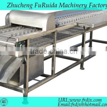 chicken farms/automatic chicken paw cutting machine