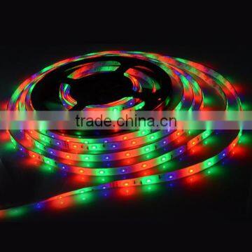 3014 LED Strip RGB 54Led/m Waterproof Led Diode Tape Ribbon + 10Key RF Controller + 2A Power Adapter For Home Garden Decoration photo-3