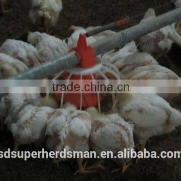 Automatic Poultry Feeding Pan System photo-2