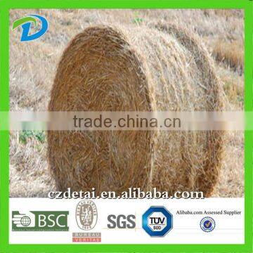Bale Net photo-6
