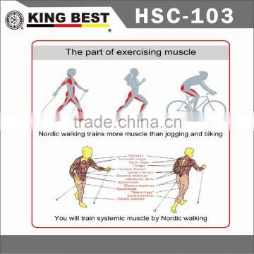 KING BEST Outdoor Sports Walking Stick 3-SECTION Nordic Walking Sticks Adjustable Nordic Walking Stick Elderly Walking Stick photo-5