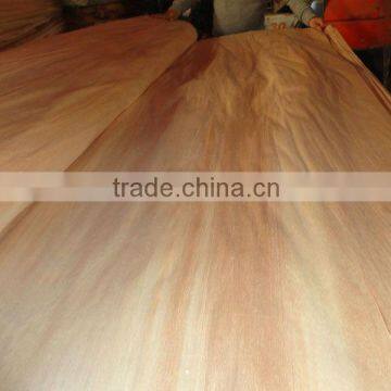 Campnosperma veneer 0.22mm