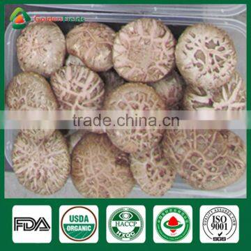 Shiitake Mushroom Spawn,Shiitkake Mushroom Growing Plugs,Shiitake Mushroom