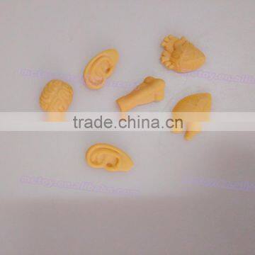 TPR Toys Sticky Human Organ TPR Organ photo-2