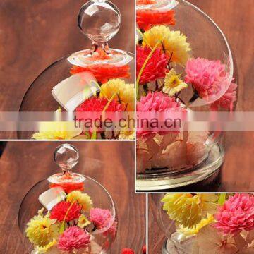Hot!!! Blown Glass Display Dome&make Decorative Glass Dome for Cake photo-4