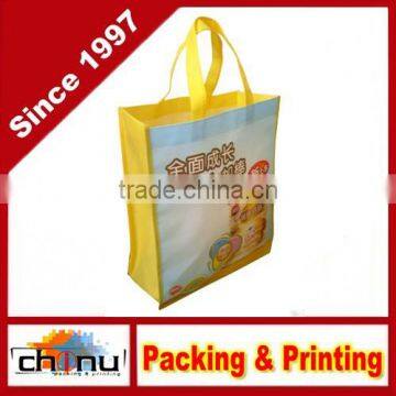 Promotion Shopping Packing Non Woven Bag (920013)